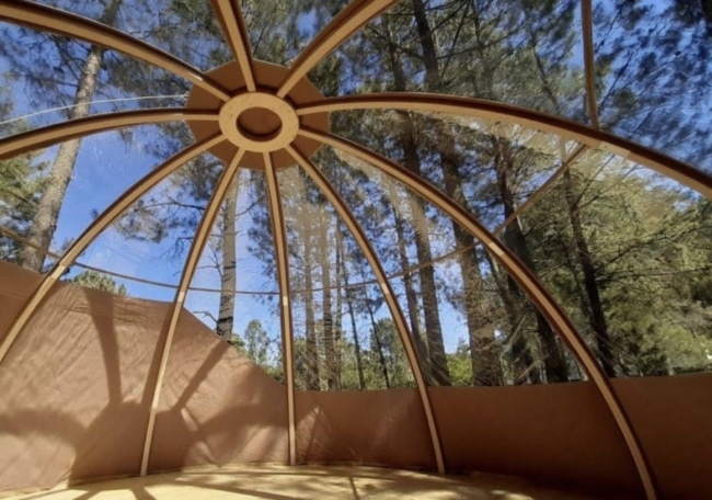 Dôme dans la foret - Domaine les Terres du Soleil