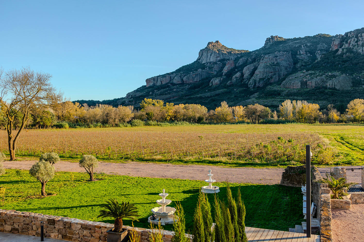 Jardin avec vignes - Domaine les Terres du Soleil
