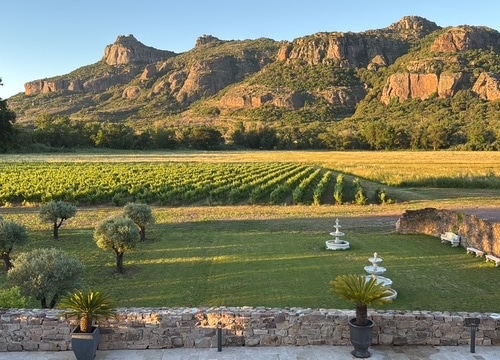 Jardin avec vigne du Domaine les Terres du Soleil